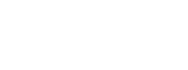 USF Logo